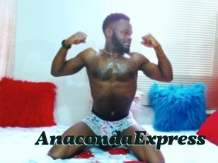 AnacondaExpress