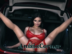 AnisiaCorner