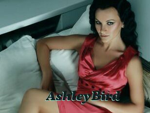 AshleyBird