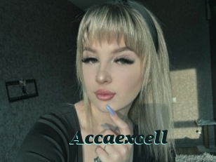 Accaexcell