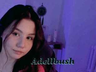 Adellbush