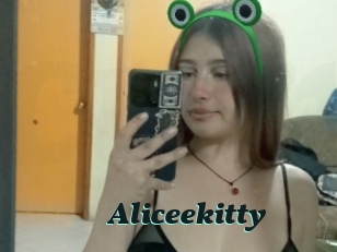 Aliceekitty