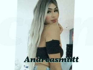 Andreasmiitt