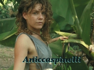 Aniccaspinelli