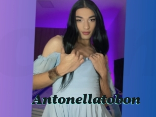 Antonellatobon