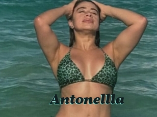 Antonellla