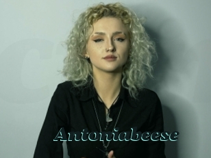 antoniabeese Cumshots Videos