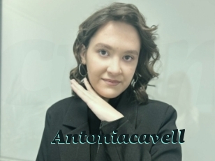 Antoniacavell