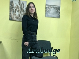 Arabodge