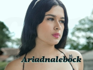 Ariadnalebock