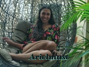Arielmuse