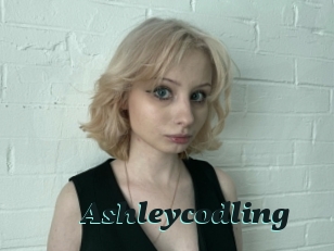 Ashleycodling