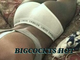 BIGCOCKTS_HOT