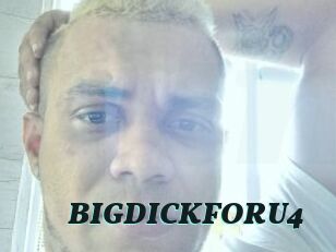 BIGDICKFORU4