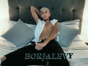 BORJALEVY