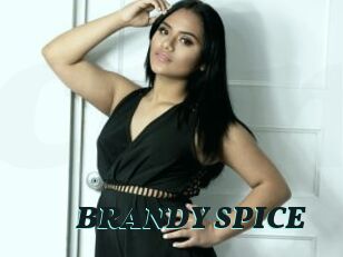 BRANDY_SPICE