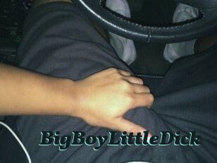 BigBoyLittleDick