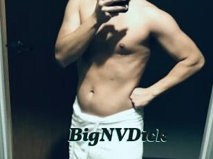 BigNVDick