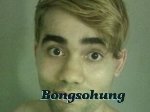 Bongsohung