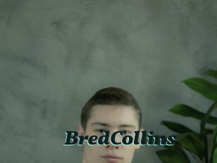 BredCollins