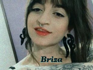 Briza