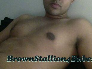 BrownStallion4Babes