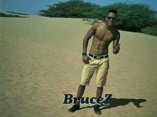 BruceZ