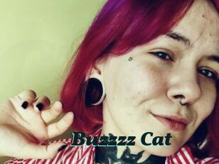 Buzzzz_Cat