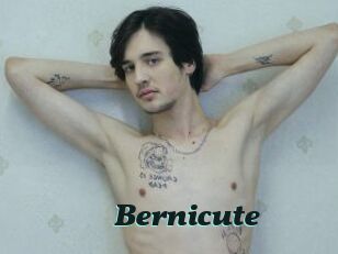 Bernicute