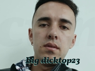 Big_dicktop23