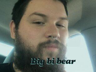 Big_bi_bear