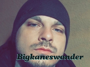 Bigkaneswonder