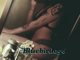 Bluebird096