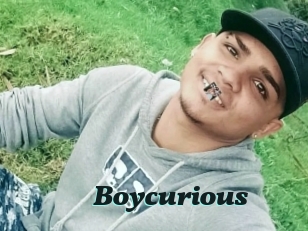 Boycurious