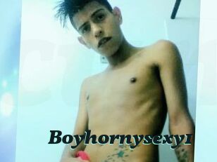 Boyhornysexy1