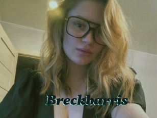 Breckbarris