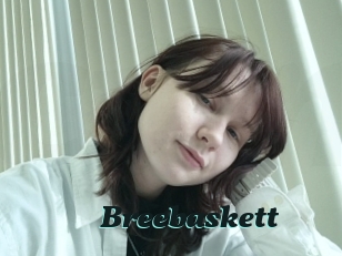 Breebaskett