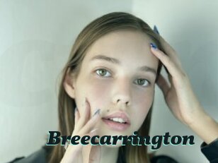 breecarrington Cumshots Videos
