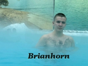 Brianhorn