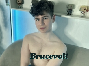 Brucevolt