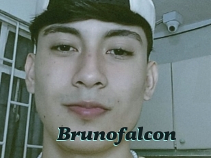 Brunofalcon