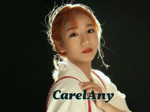 CarelAny