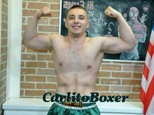 CarlitoBoxer