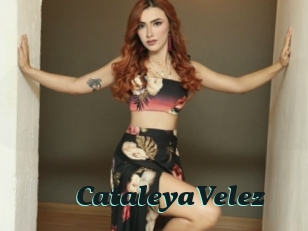 CataleyaVelez