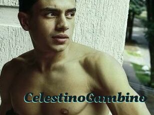 CelestinoGambino