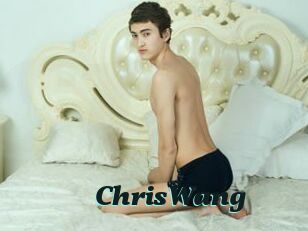 ChrisWang Cumshots Videos