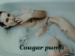 Cougar_puma