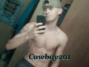 Cowboy201