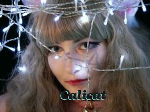 Calicat