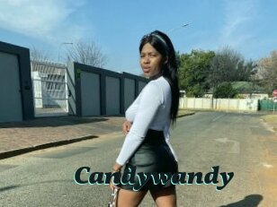 candywandy Cumshots Videos